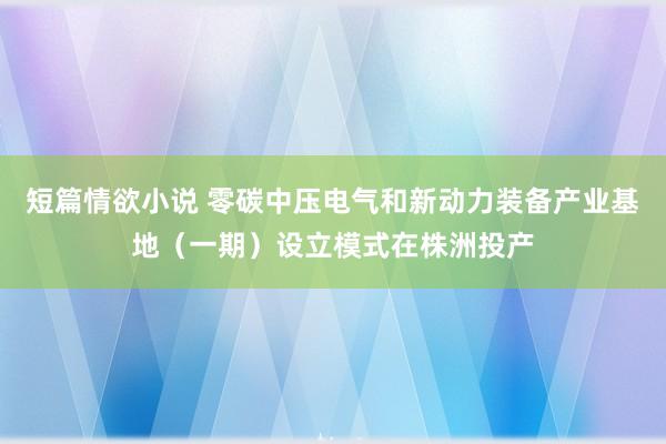 短篇情欲小说 零碳中压电气和新动力装备产业基地（一期）设立模式在株洲投产