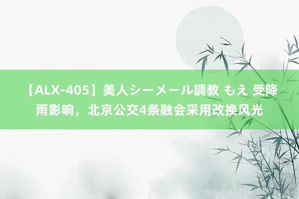 【ALX-405】美人シーメール調教 もえ 受降雨影响,北京公交4条融会采用改换风光