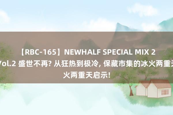 【RBC-165】NEWHALF SPECIAL MIX 240分 Vol.2 盛世不再? 从狂热到极冷， 保藏市集的冰火两重天启示!