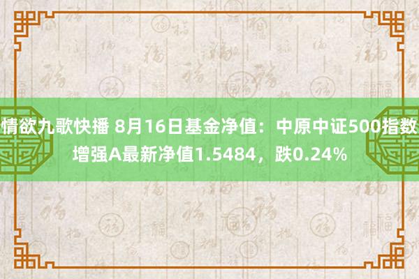 情欲九歌快播 8月16日基金净值：中原中证500指数增强A最新净值1.5484，跌0.24%