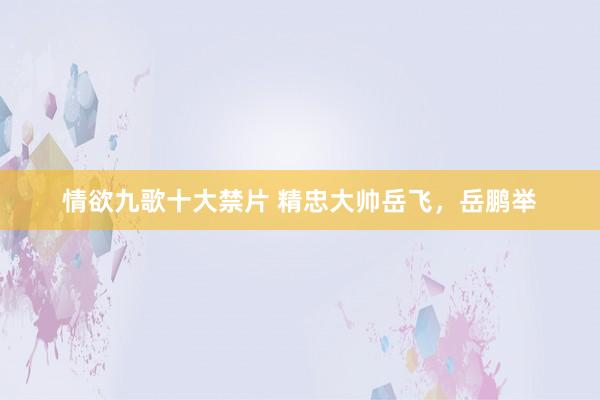 情欲九歌十大禁片 精忠大帅岳飞,岳鹏举