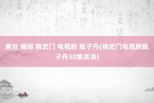 黑丝 捆绑 精武门 电视剧 甄子丹(精武门电视剧甄子丹30集高清)