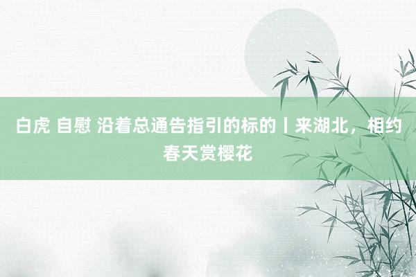 白虎 自慰 沿着总通告指引的标的丨来湖北，相约春天赏樱花