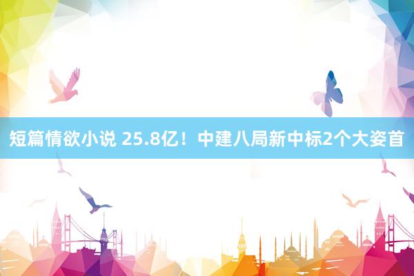 短篇情欲小说 25.8亿！中建八局新中标2个大姿首