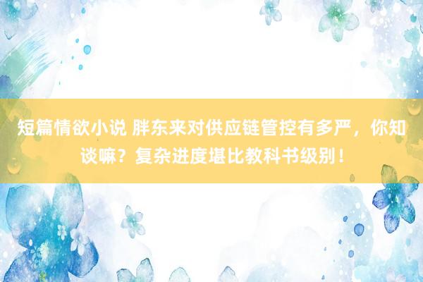短篇情欲小说 胖东来对供应链管控有多严，你知谈嘛？复杂进度堪比教科书级别！