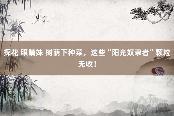 探花 眼睛妹 树荫下种菜，这些“阳光奴隶者”颗粒无收！