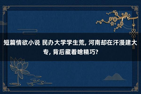 短篇情欲小说 民办大学学生荒， 河南却在汗漫建大专， 背后藏着啥精巧?