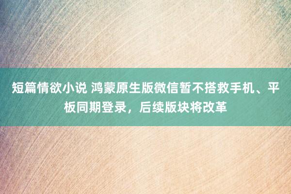 短篇情欲小说 鸿蒙原生版微信暂不搭救手机、平板同期登录，后续版块将改革